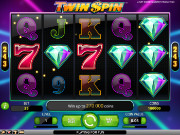 Twin Spin Slot